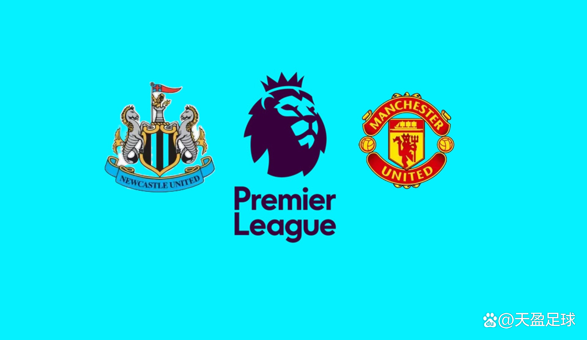 观众和教练 观众和教练